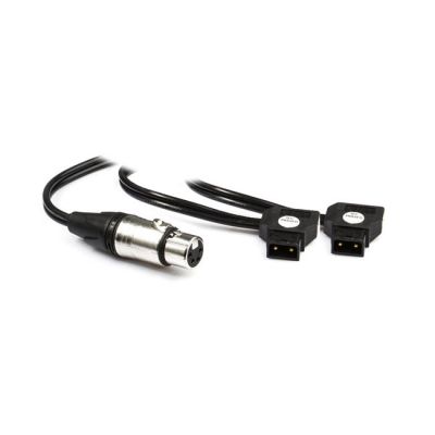 Hive Lighting Hornet 200-C Dual Battery Y-Cable (Dual DTap to XLR)