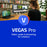 VEGAS Pro ESD