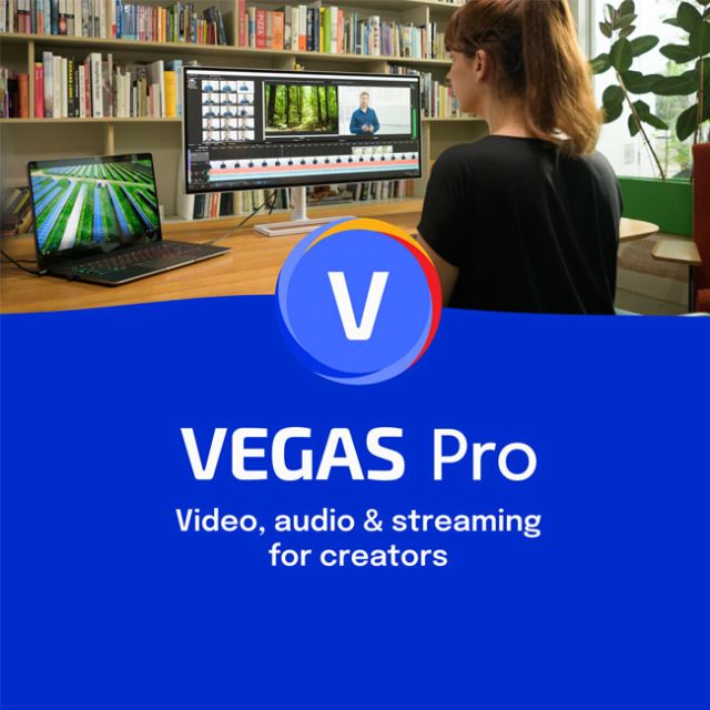VEGAS Pro ESD