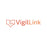 Vigillink Av Over IP 10G Dual Link Master Controler