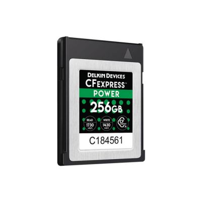 Delkin Devices POWER CFexpressâ„¢ Memory Card (256GB)