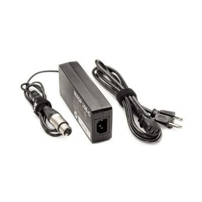 Hive Lighting Wasp 100-C Universal AC Power Supply